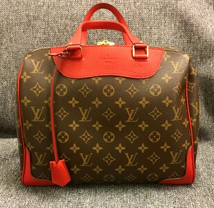 Bag vuitton monogram