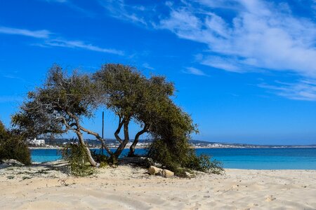 Blue island scenery