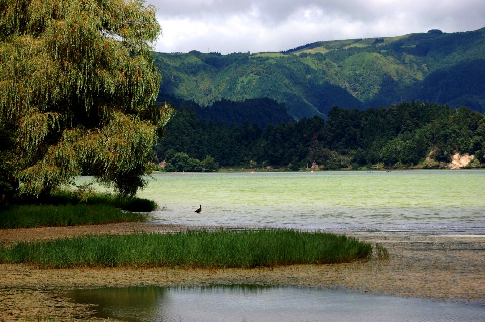 Lake nature outdoor
