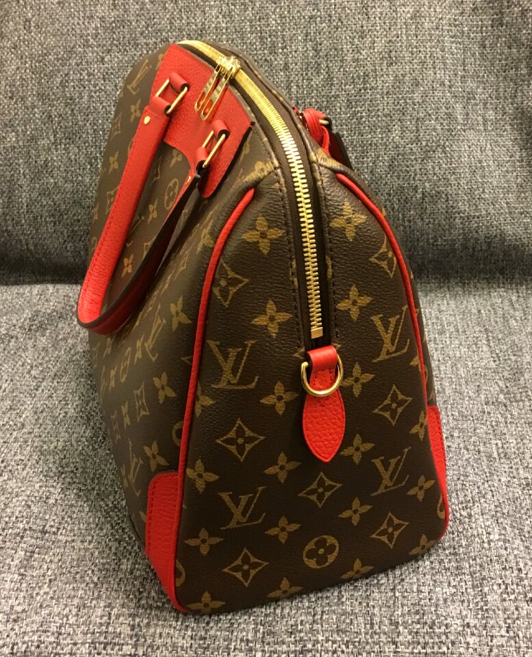 Bag vuitton monogram