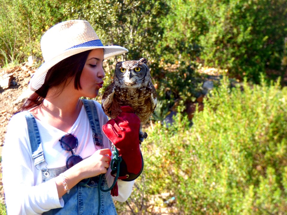 Girl kiss falconry