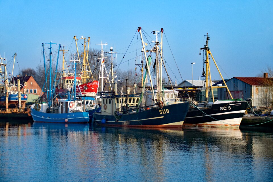 Port boats fishing boats