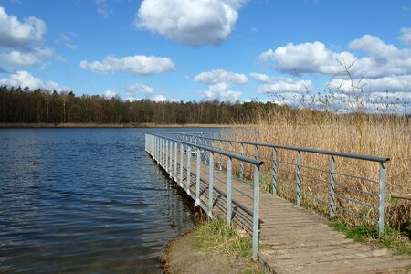 Web landscape germany