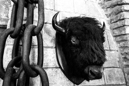 Chains animal stuffed