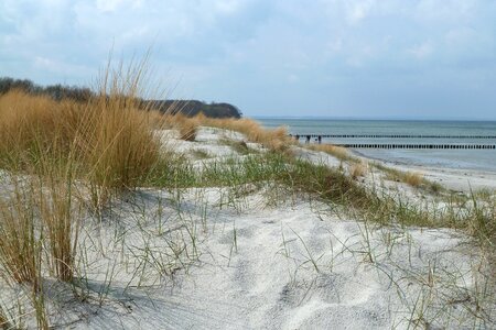 Sand dune beach germany photo
