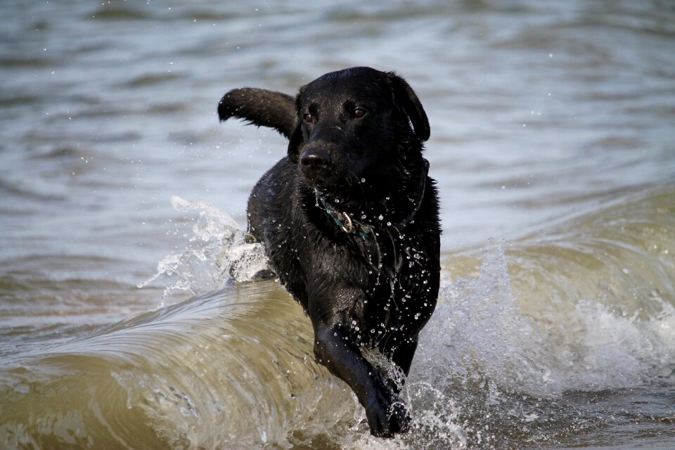 Sea surf salt water