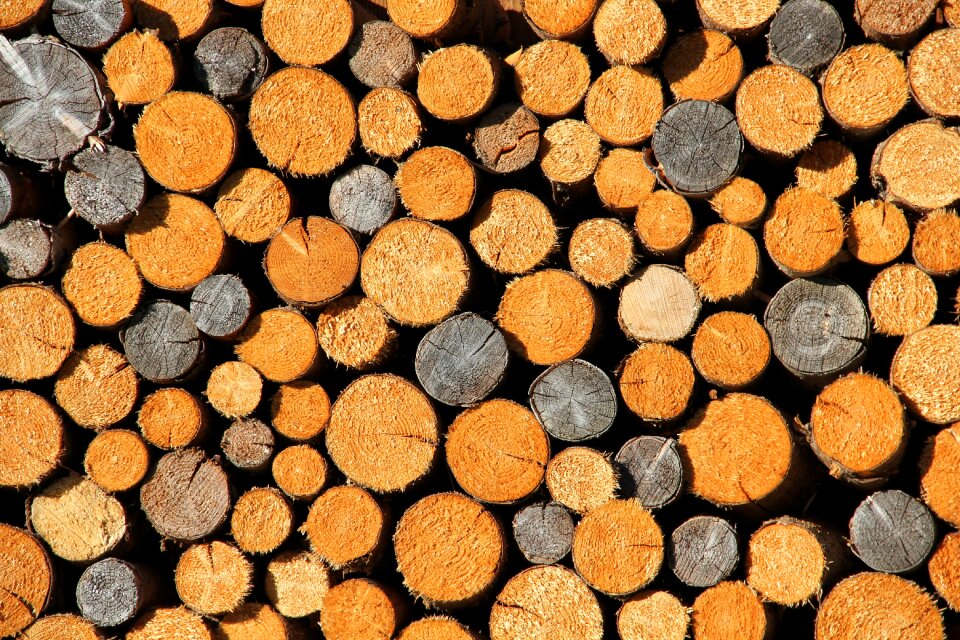 Growing stock firewood sawed off