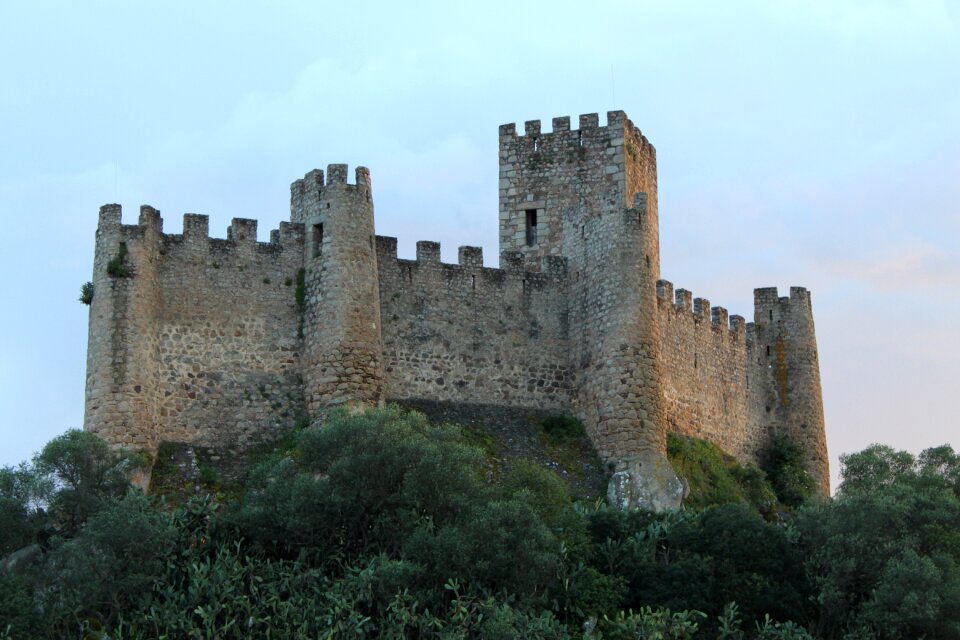 Nature medieval