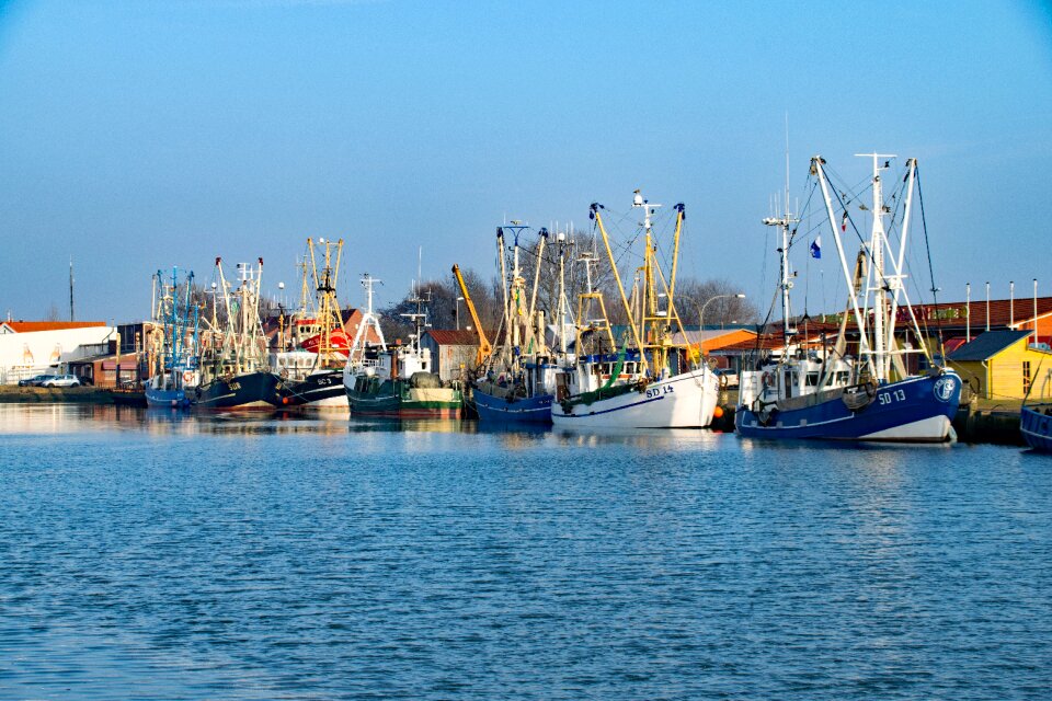 Port boats fishing boats