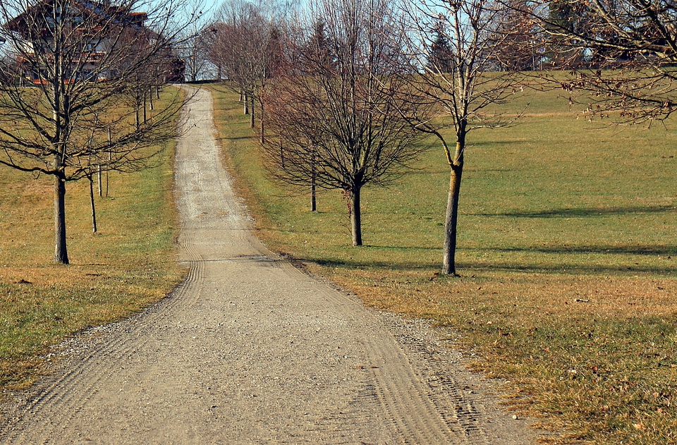 Dirt track alpine way meadow