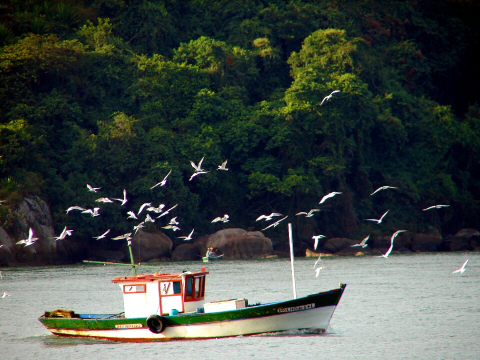 Fishing capixaba bay