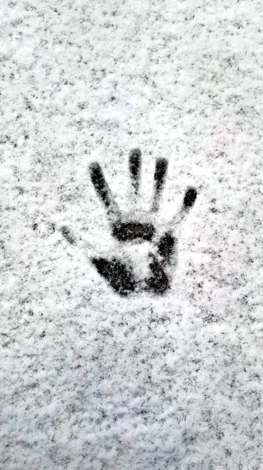 Snow tracks new zealand cold