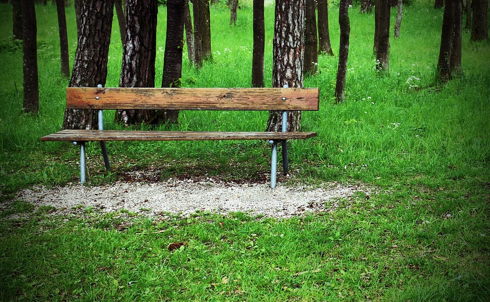 Bank seat out nature