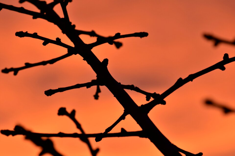 Background sun nature