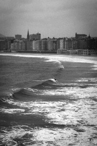Sea bay shell