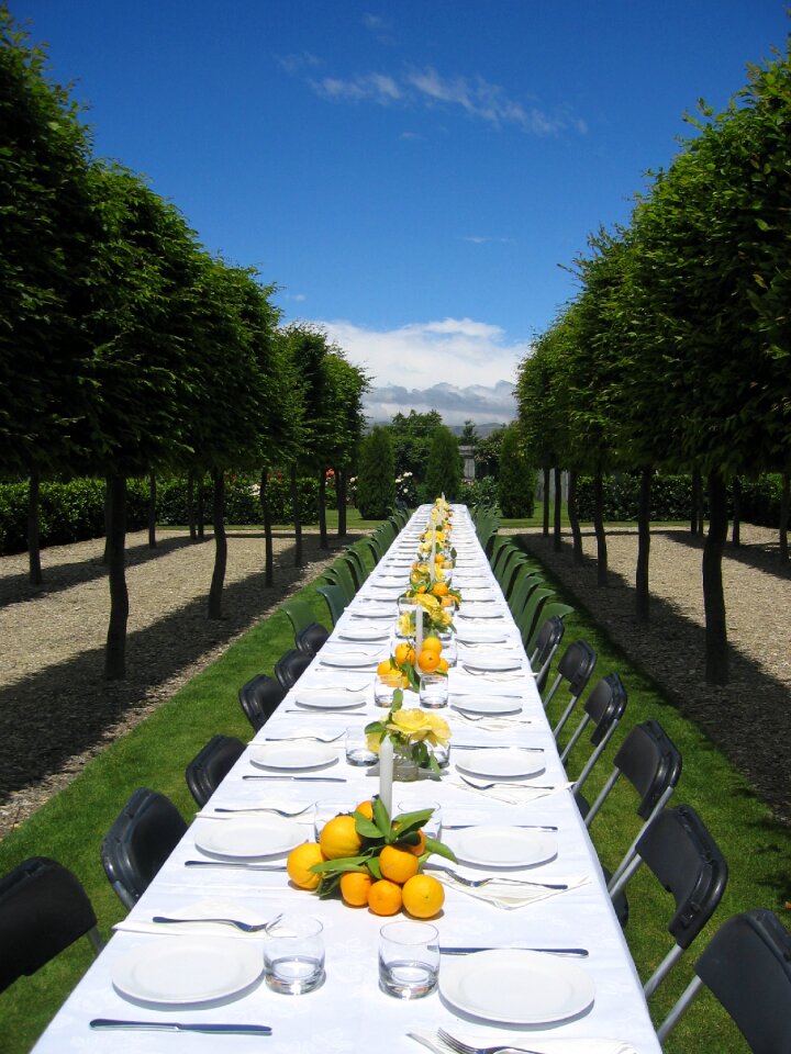 Wedding setting white