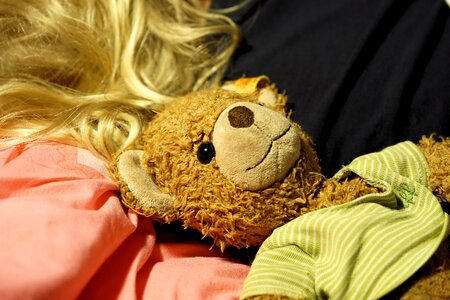 Teddy bear fun brown bear