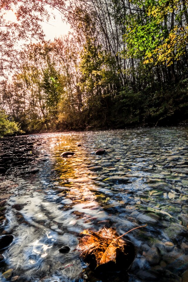 River bach nature