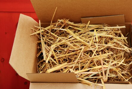 Organic packaging packaging material send