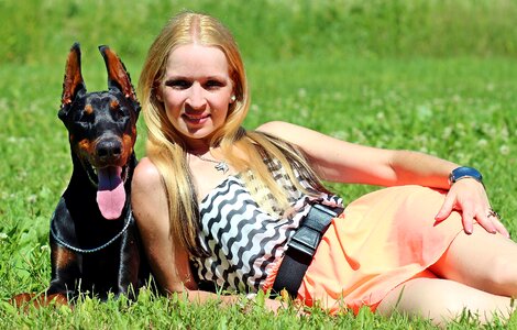 Dogs pretty doberman
