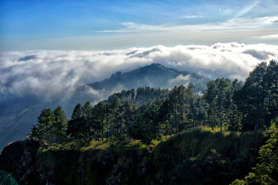 Fog clouds nature