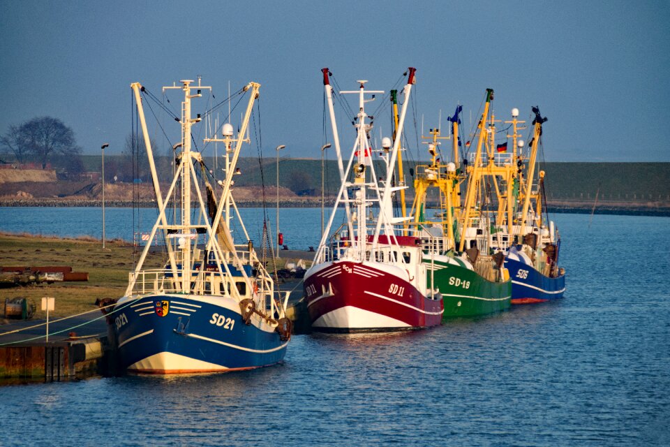 Port boats fishing boats
