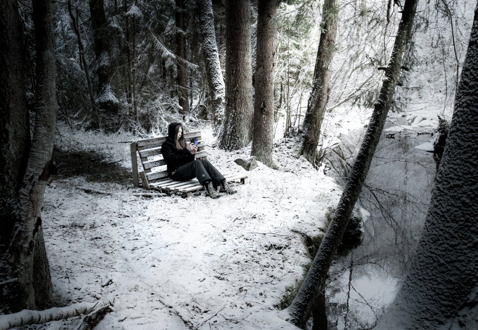 Forest dark river