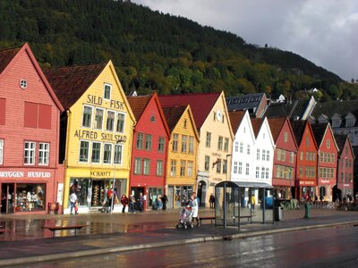 City scandinavia woodhouse