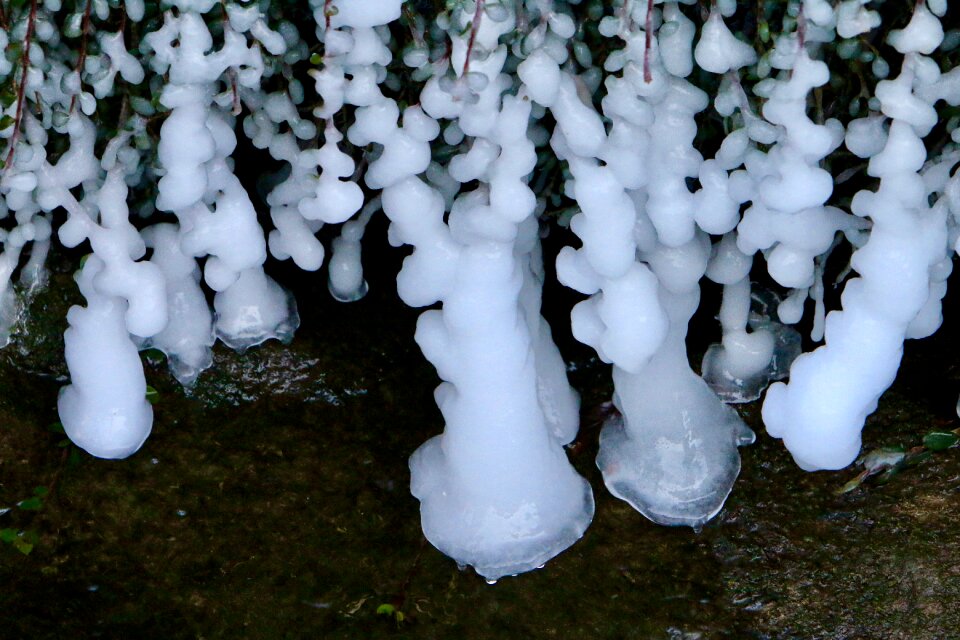 Icy aesthetic bach