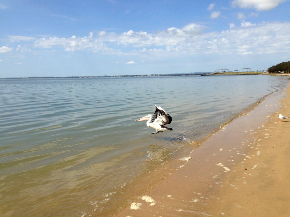 Summer sea ocean