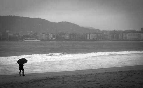 Sea bay shell