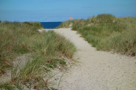 Dune landscape dune ridge dune grass photo