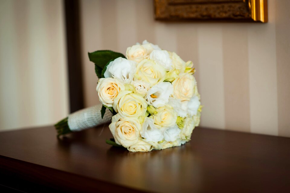 Floristry style color beech