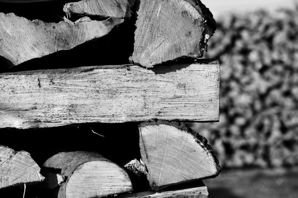 Growing stock log stacked up