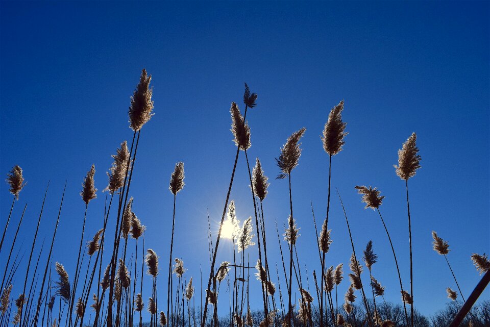 Blue sky sunlight