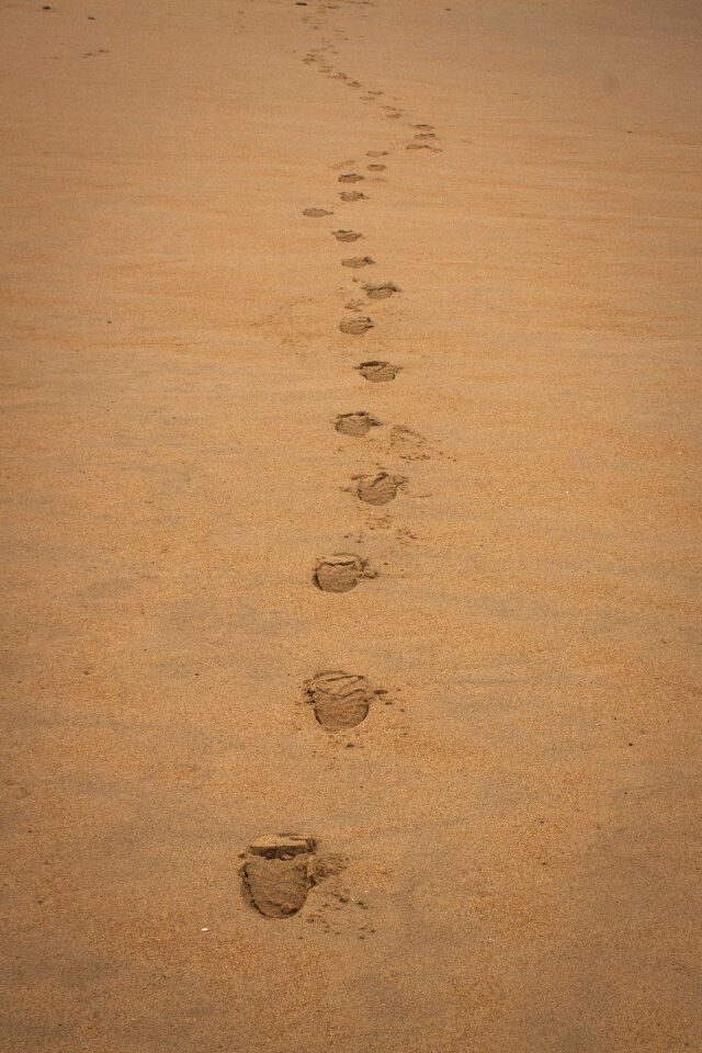 Footprint winter steps