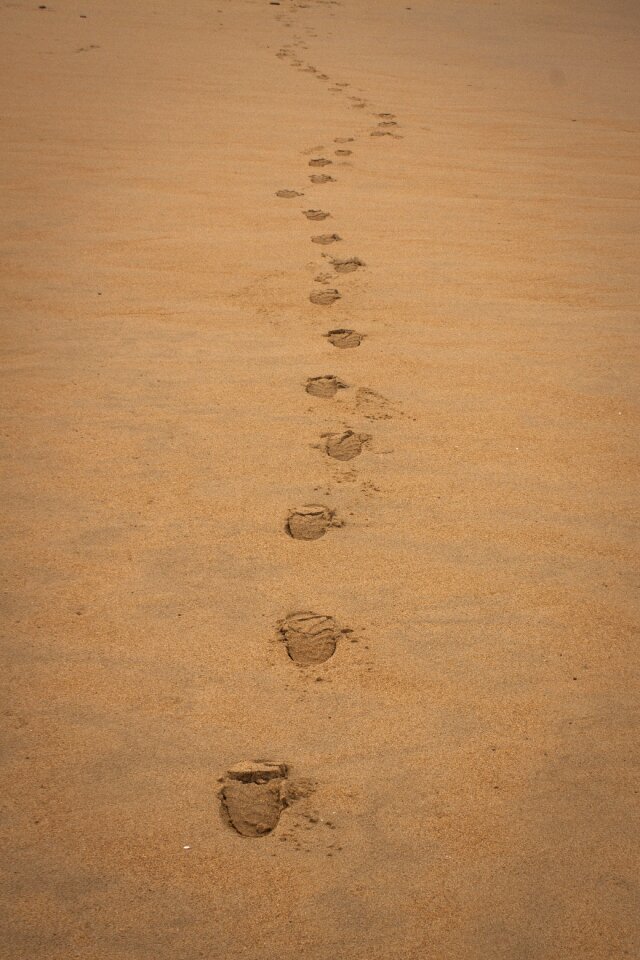 Footprint winter steps photo