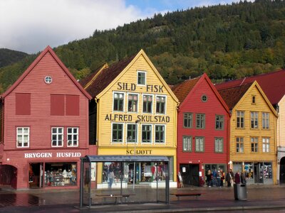 City scandinavia woodhouse