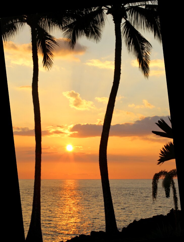 Beach ocean vacation