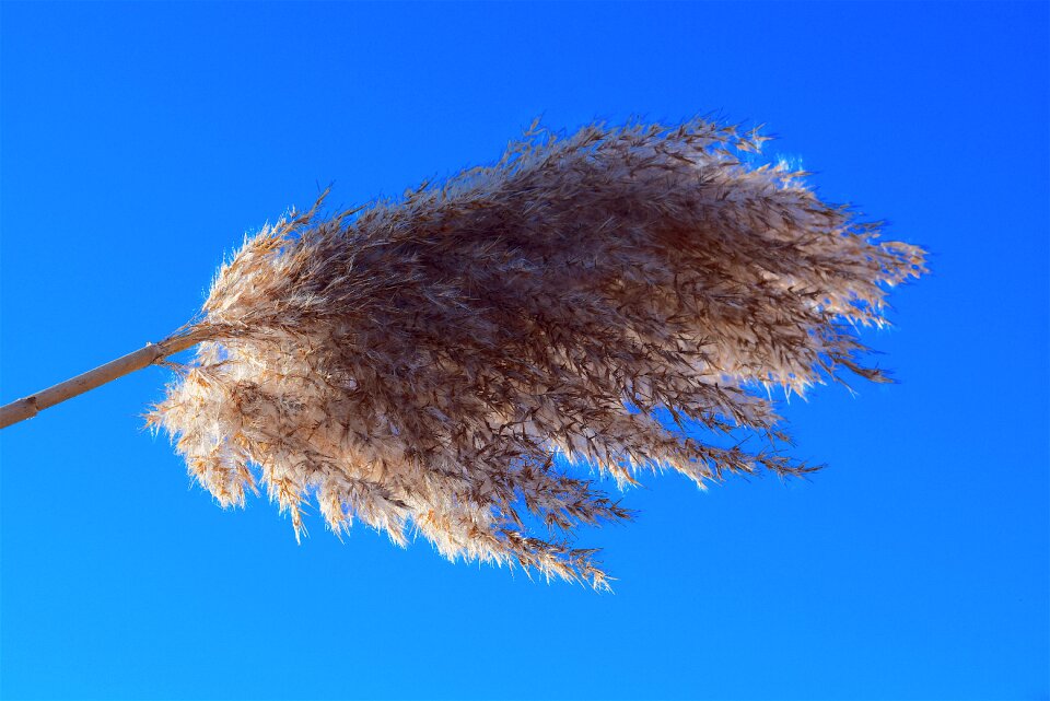 Blue sky sunlight