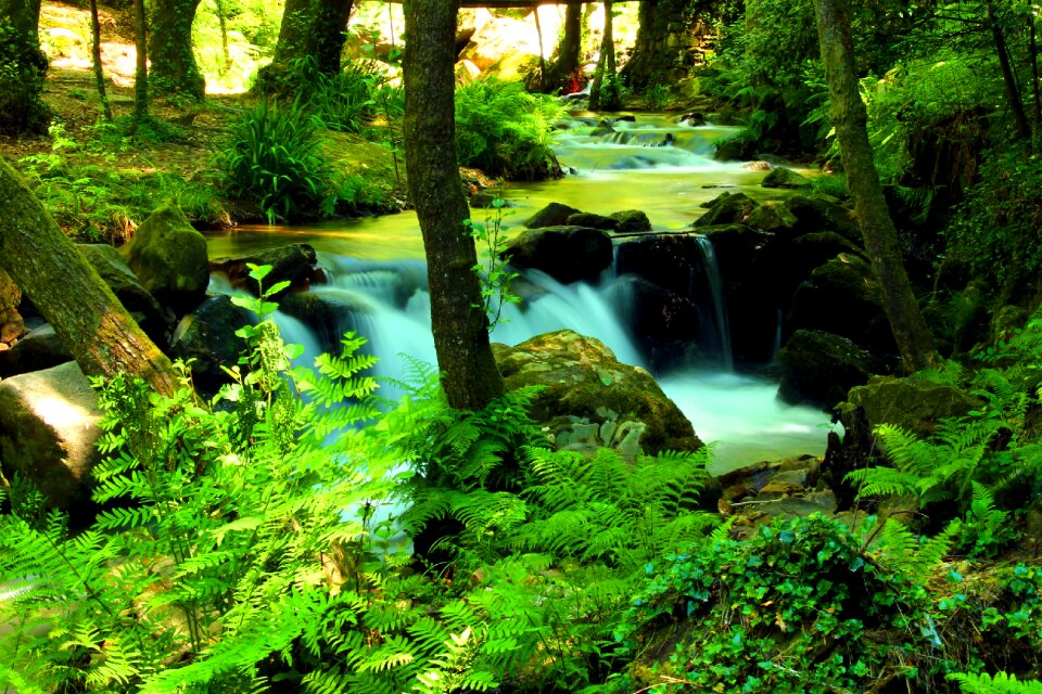 Vouga forest long exposure