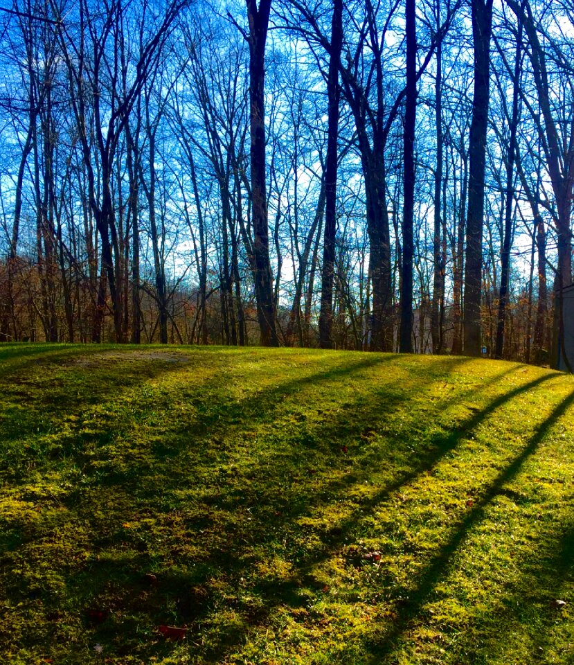 Scenic light mound
