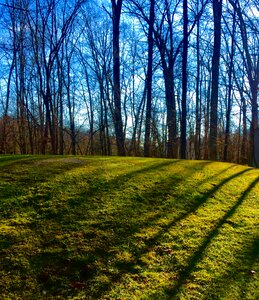 Scenic light mound