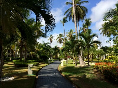 Resort punta cana dominican republic