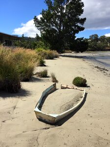 Australia beach nature