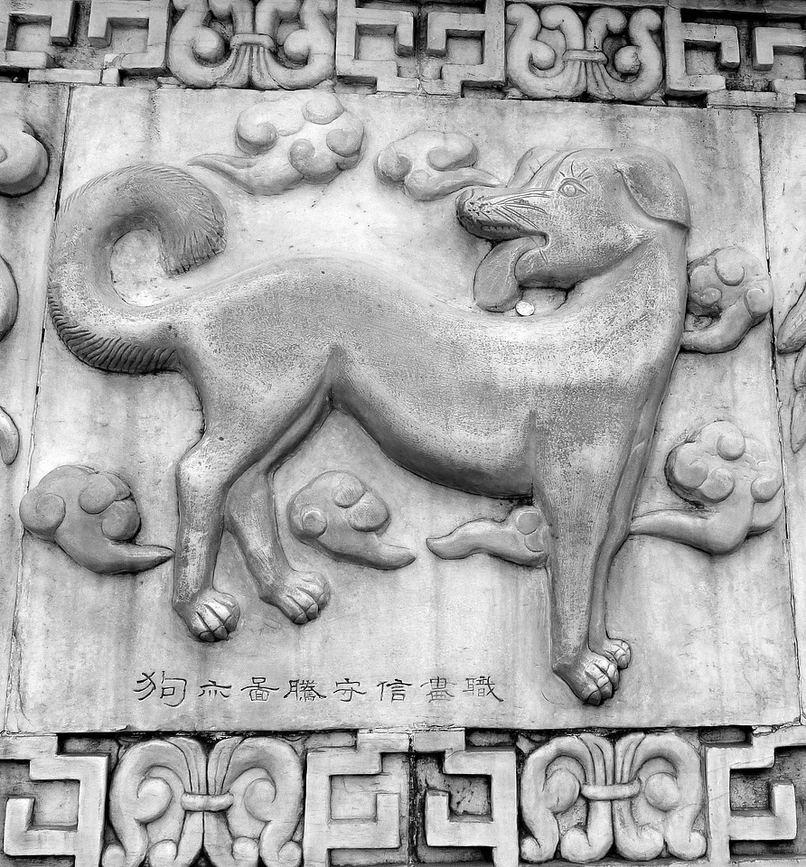 Animals stonework stone