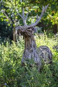 Timber wooden tree