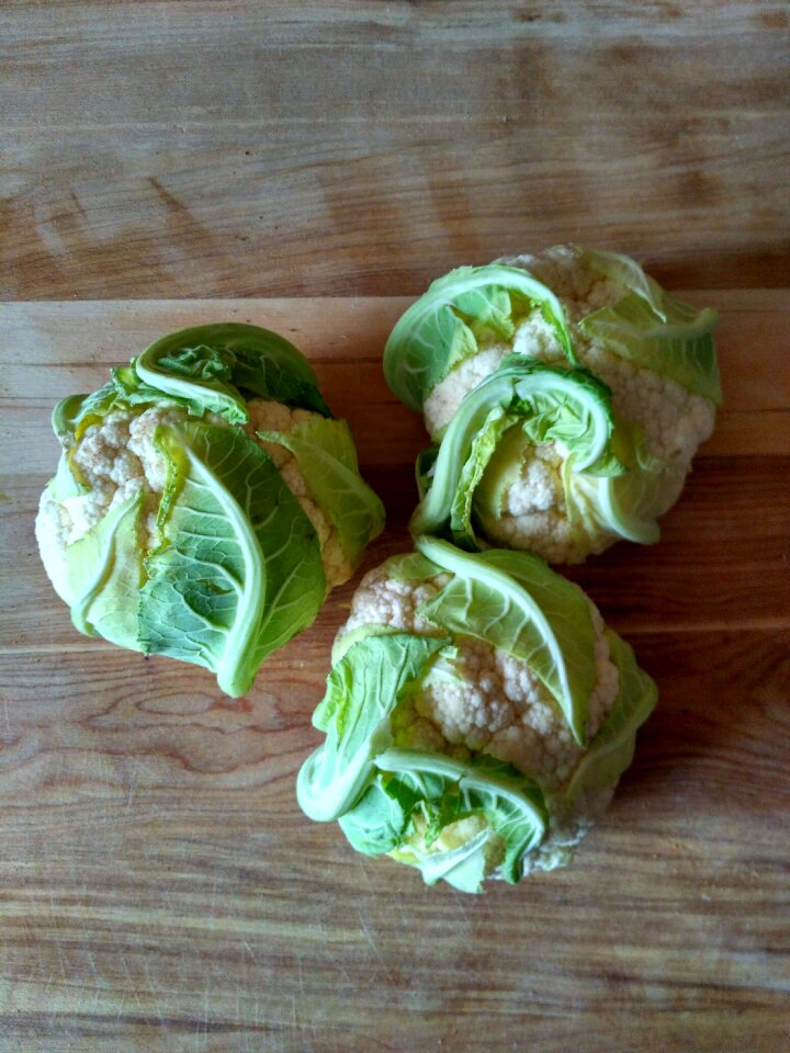 Young cauliflowers eco
