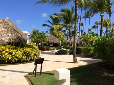 Resort punta cana dominican republic