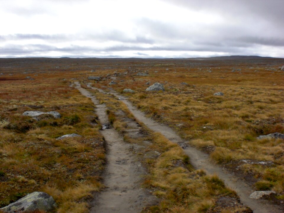 Landscape nature trekking
